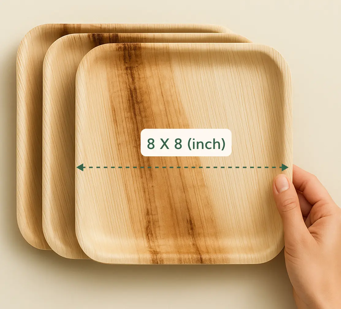 Quarter Plate view 3