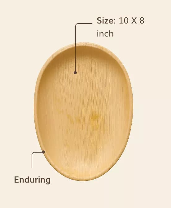 Multiple Use Plates (10×8) view 2
