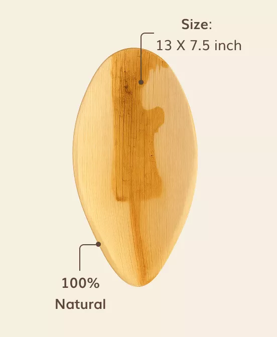 Multiple Use Plates (13×7.5) view 2